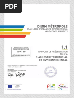 1 1 RDP TomeA Diagnostic