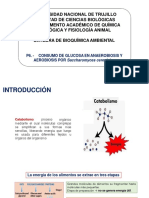 P6-Consumo de Glucosa en Anaerobiosis y Aerobiosis