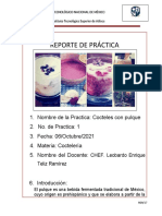 Reporte de Practica