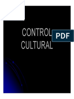 Control Cultural