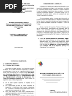 Normas Generales y Modelo para La Elaboración y Presentación Del Informe de Pasantías o Prácticas Profesionales PNF.