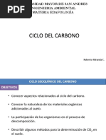 15 Ciclo Del Carbono