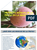 La Mosca de La Fruta