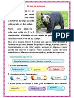 El Oso de Anteojos