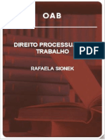 Ônus Da Prova - Rafaela Sionek