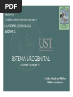 Anatomia Comparada Ap Reprod y Urogenital