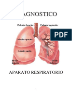 Sistema Respiratorio Teoria......... Nivel Intermedio