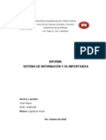 Informe Sistema de Informacion y Su Importancia