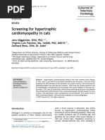 Screening For Hypertrophic Cardiomyopathy in Cats