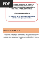 SEM. 8. PRÁCT. 8. Digestión de Los Lípidos. Acción de La Lipasa Pancreática.