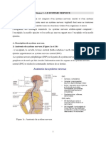 TD - Système Nerveux - Sans TP