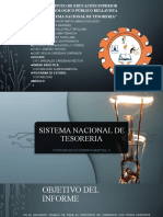 Sistema Nacional de Tesoreria Hector