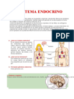 Sistema Endocrino para Quinto Grado de Pimaria