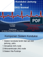 SKJ Ekg Normal