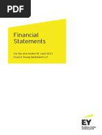 Ey Financial Statements 2021 en