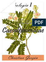 Caesalpinioidaeae (PACHACO) - Christian Garzón