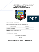 INFORME Biomoleculas. PROTEÍNAS (ENZIMAS), LÍPIDOS Y CARBOHIDRATOS