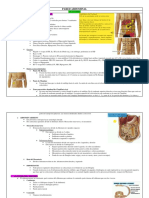 5a. Pared Abdominal