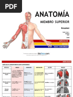 Anatomia Miembro Superior 2018 12 Paginas