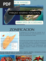 Cozumel