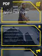 Spatial Data Types