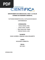 Informe #5 - Catalasa