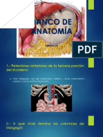 Banco de Anatomía Semana 14. Upao