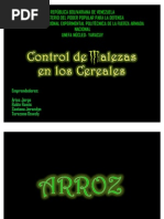 Control de Maleza en Cereales