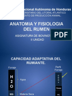 Anatomia y Fisiologia Del Rumen