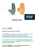 CLASE 1 y 2 de TEJIDOS Generalidades. Tejido EPITELIAL y Tejido CONECTIVO