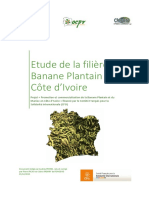 Diagnostic de La Filiere Banane Plantain en Cote D Ivoire 15 12 2015 Final