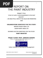 Paint Industry Project