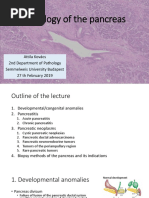 Kovacs Pancreas Pathology