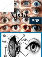 Trabalho em Slide de Fisiologia Humana Sobre Visão