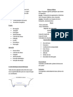 Características Morfometricas