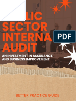 Public Sector Internal Audit