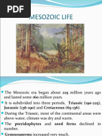 Mesozoic Life