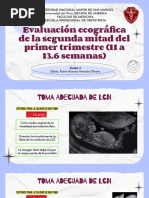 S9 - Evaluación Ecográfica de La Segunda Mitad Del Primer Trimestre (11 A 13.6 Semanas)