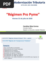 Regimen Pro Pyme