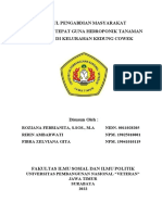 Modul Ii TTG Hidroponik Pakcoy