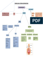 Semiologia Aparato Respiratorio