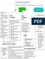 Exposicion Tema 1