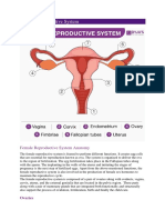 Female Reproductive System