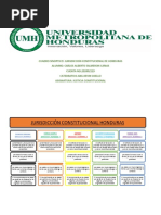 Cuadro Sinoptico Justicia Constitucional