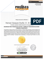 Certificado de Altura Hernan Vasquez