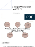 Terapia Ocupacional em CER