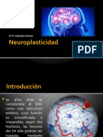 Neuroplasticidad