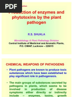 Production of Enzymes and Phytotoxins by The Plant Pathogen