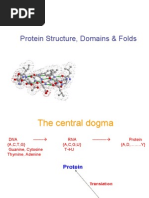 Protein Folds and Structure