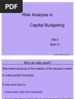 Risk Analysis in Capital Budgeting